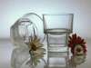 Vaso Prensado